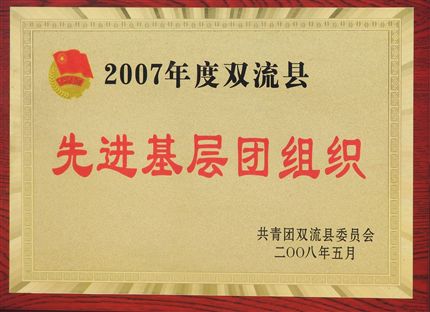 棠湖中学校团委被授予县“先进基层团组织”