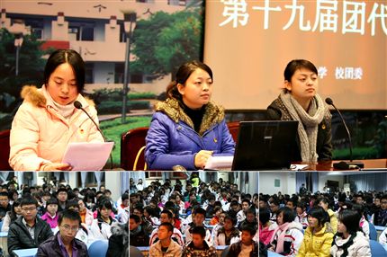 第十九届团代会(二)