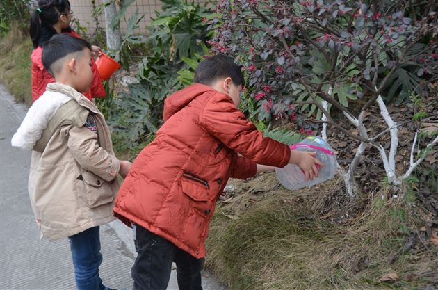 “爱树护绿，从我做起”——记棠外实验幼稚园植树节主题活动