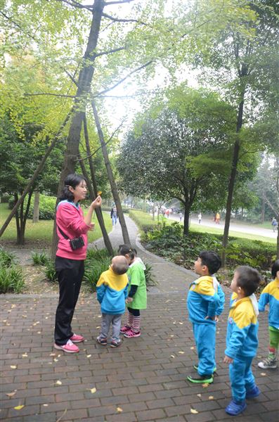 寻找秋天的痕迹——记棠外实验幼儿园婴小班秋游社会实践活动
