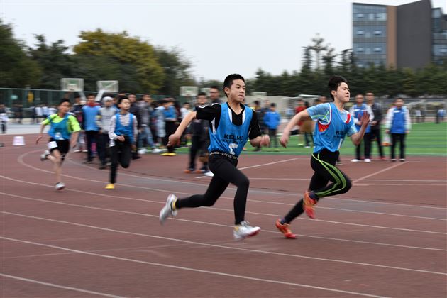 激情运动圆满收官，棠外师生值得点赞——2017双流区中小学田径运动会、集体运动会在棠外成功举办