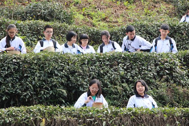 弘扬中华文化，继承茶艺传统——记棠外初2015级师生青城山社会实践活动