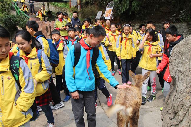 快乐实践 幸福成长——棠外附小成功举行2017年春季学生社会实践活动