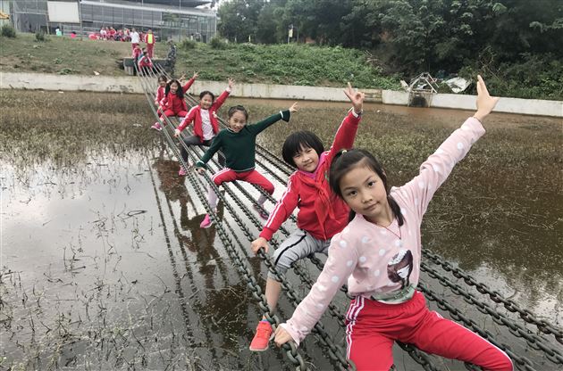 金秋好时节，出游趣味浓——记棠外附小三年级社会实践活动