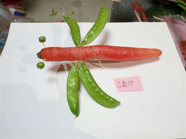 生活中的科学——舌尖上的植物——记棠外附小2017-2018学年度上期期末主题教育展示活动