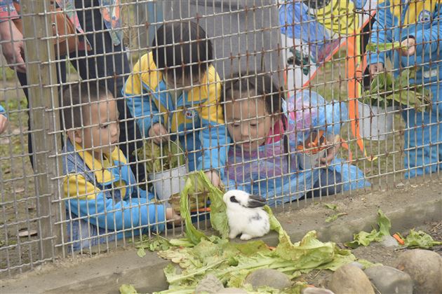 拾一春芳华 留一片回忆——棠外实验幼儿园2018春游记