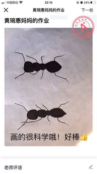 疫情中科学防疫 生活中探究科学——记棠外附小停课不停学之科学篇