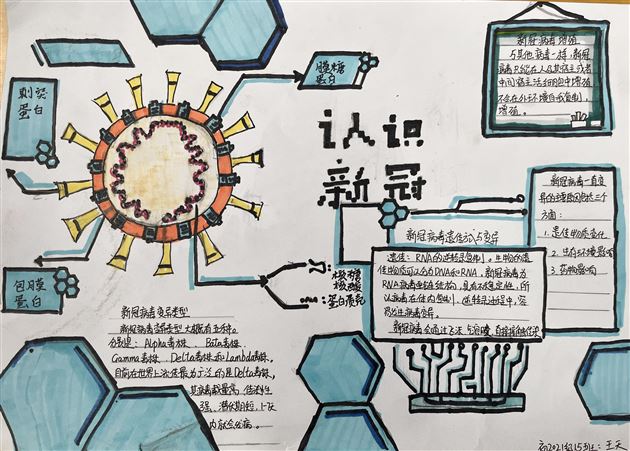 实验，解剖，办报——不一样的生物寒假作业 
