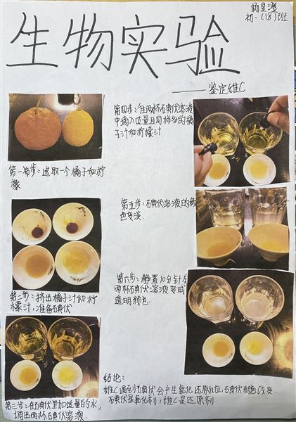 实验，解剖，办报——不一样的生物寒假作业