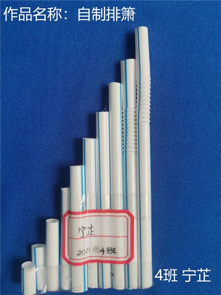 动手动脑，快乐“悟”理——初二物理寒假实践作业展评