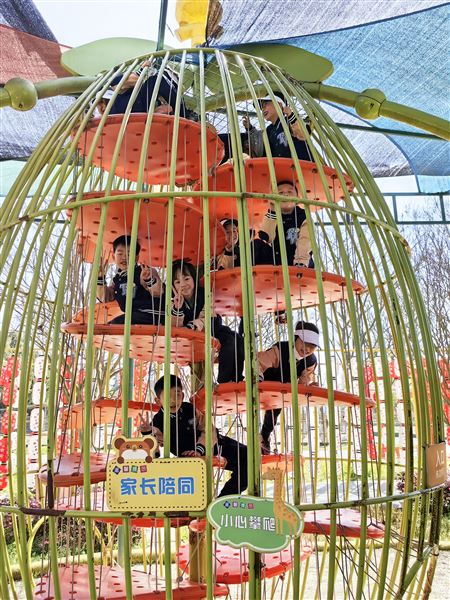 春天的仪式感，就是上一堂生动的自然课——记棠外附小一二年级综合实践课程