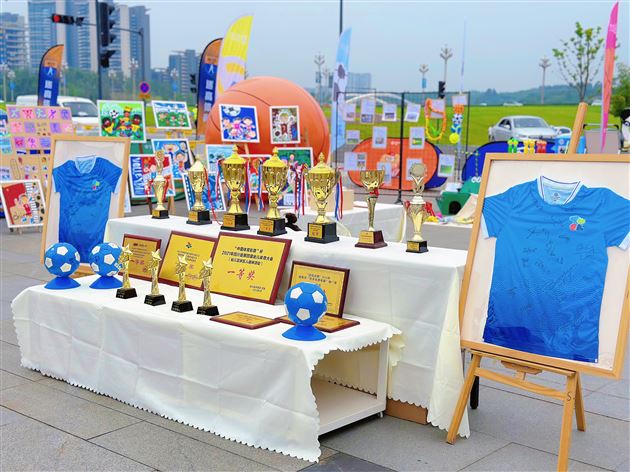 展区布置 