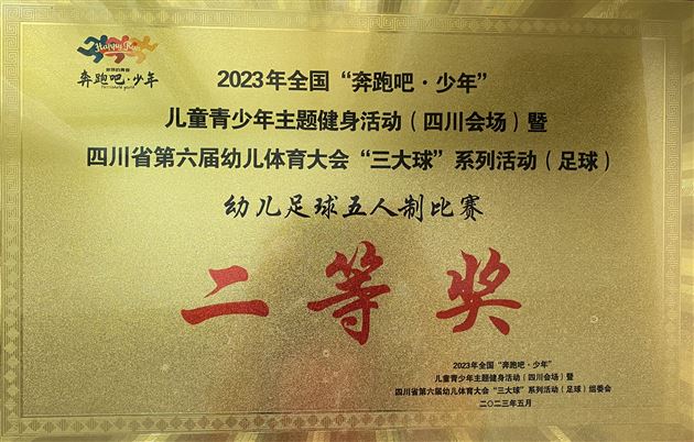 点赞！棠湖仁智幼儿园足球小将荣获多个省级运动奖项