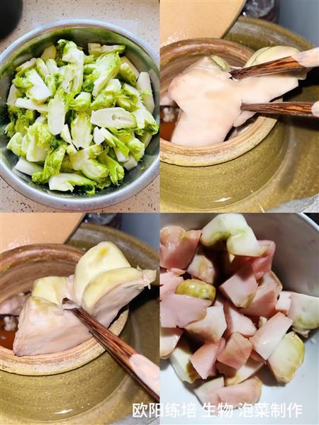 制作泡菜（高二4班欧阳练培）