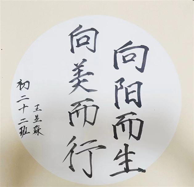 向阳而生 向美而行——2024棠外初2022级校园海报招贴设计大赛圆满举行 