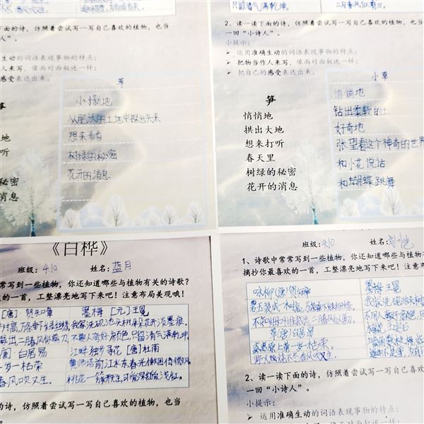 轻叩诗歌大门 漫溯诗意芳痕 ——记棠外附小四年级语文综合实践活动
