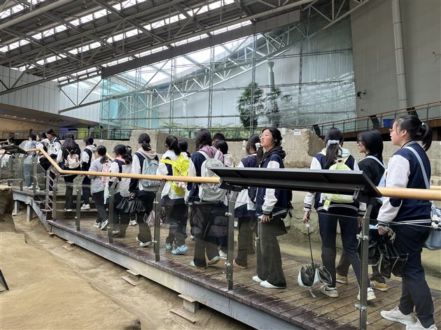 探秘金沙遗址 寻源古蜀神都——记棠外人文考古社高2024级分社考古研学活动