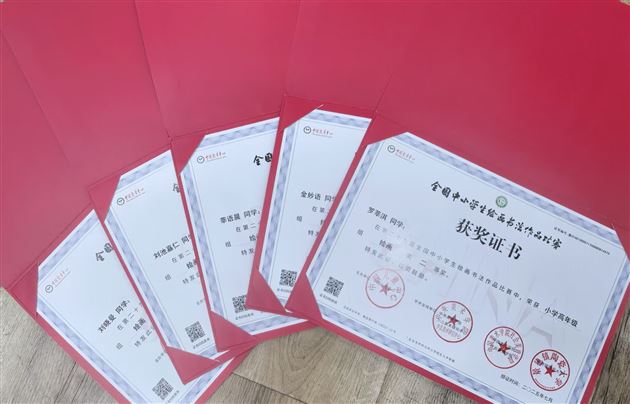 棠外学子在第二十九届全国中小学生绘画书法作品比赛中喜获佳绩