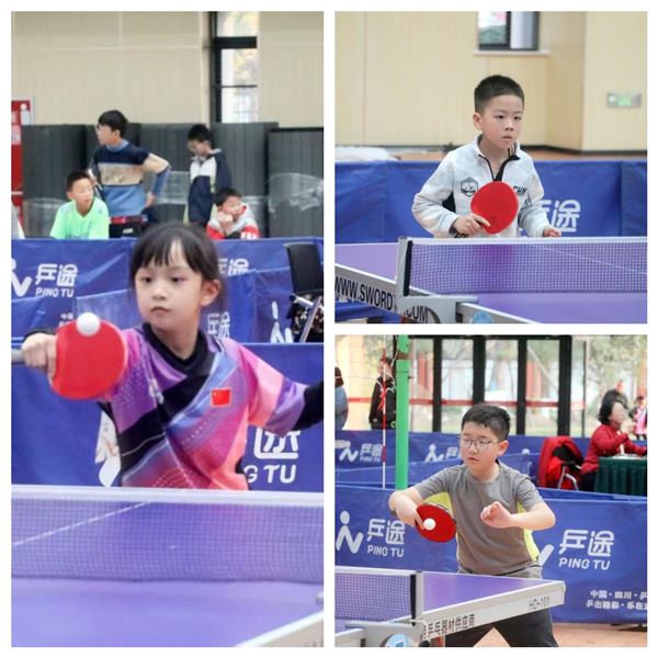 体教融合育全才 乒乓赛场绽芳华 —— 棠外学子在多级赛事中获佳绩