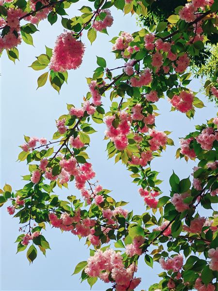 15班 曹郁翔 《春暖花开》