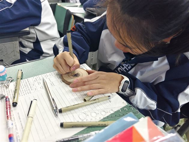 棠外初2023年级原木片彩绘主题活动