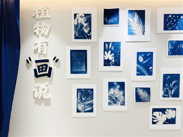 “自然而然·美润成长”棠外第十二届校园艺术节书法、绘画、摄影作品展精彩启幕