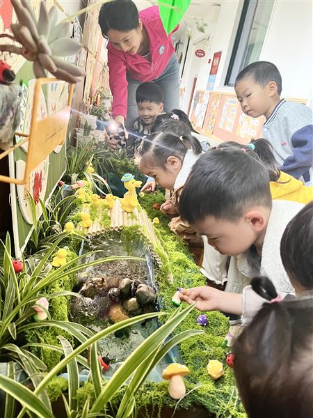 棠湖仁智幼儿园开展“绿色小世界”植物角成果观摩活动