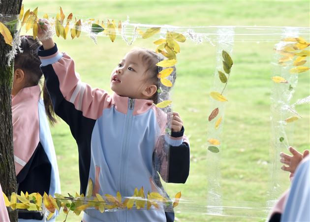 棠湖仁智幼儿园天府芙蓉园秋游活动纪实