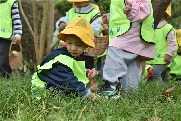 棠湖仁智幼儿园天府芙蓉园秋游活动纪实