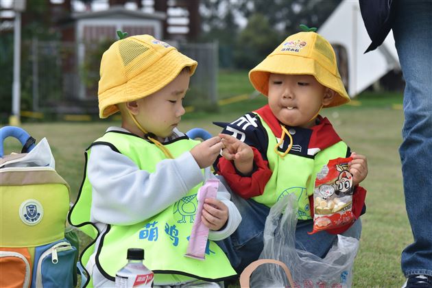 棠湖仁智幼儿园天府芙蓉园秋游活动纪实
