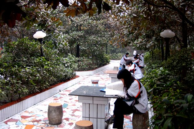 初冬的校园（八）