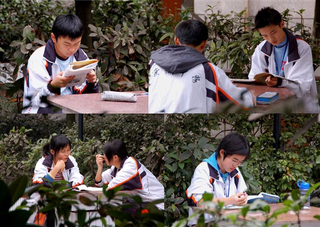 初冬的校园（九）