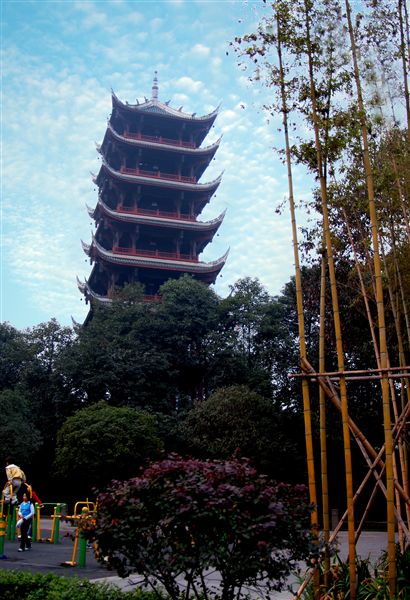 初冬的校园（十）