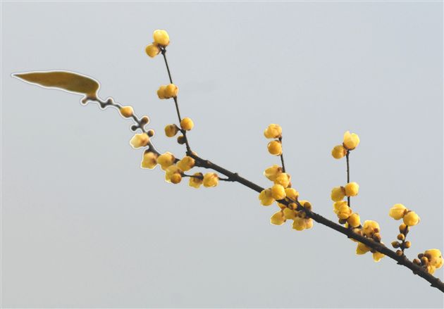 一