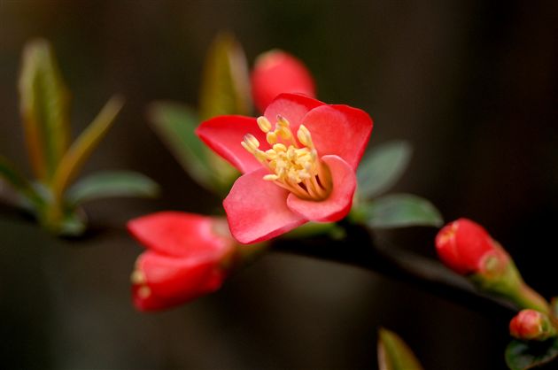 八