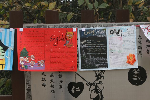 棠湖中学英语文化月之“手抄报比赛”(七)