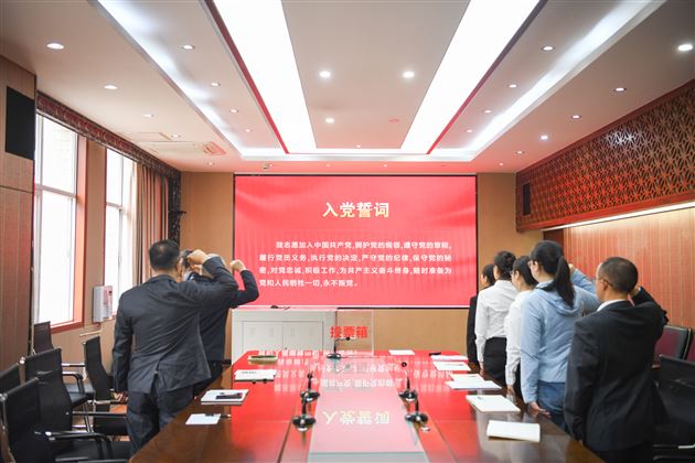 全体党员重温入党誓词